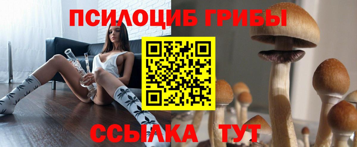 Моршанск  Галлюциногенные грибы MAGIC MUSHROOMS  Вход с VPN 