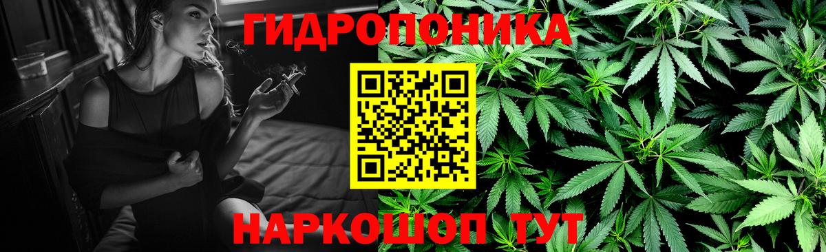 Канабис планчик  Конопля Bruce Banner  Вход с VPN  Моршанск  Шишки марихуана Amnesia 